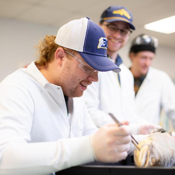 Fish & Aqua students dissecting a fish