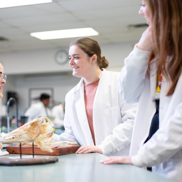 Fish & Aqua students in the fish biology lab