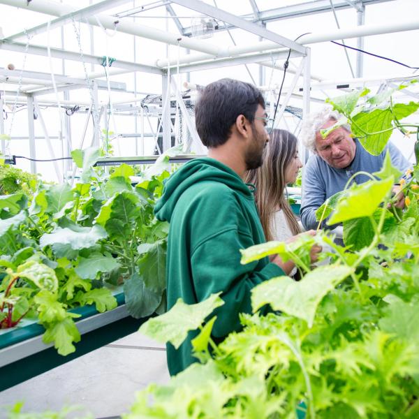 Fish & Aqua students in aquaponics greenhouse