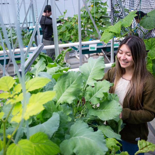 VIU student in the aquaponics greenhouse