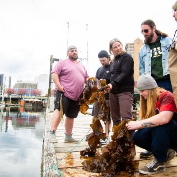 Professor and students looking at seaweed on the dock