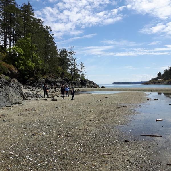 Students traversing the beach for GEOL206 field school