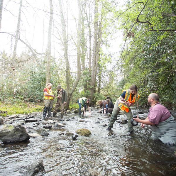 VIU students in the field at Chase River
