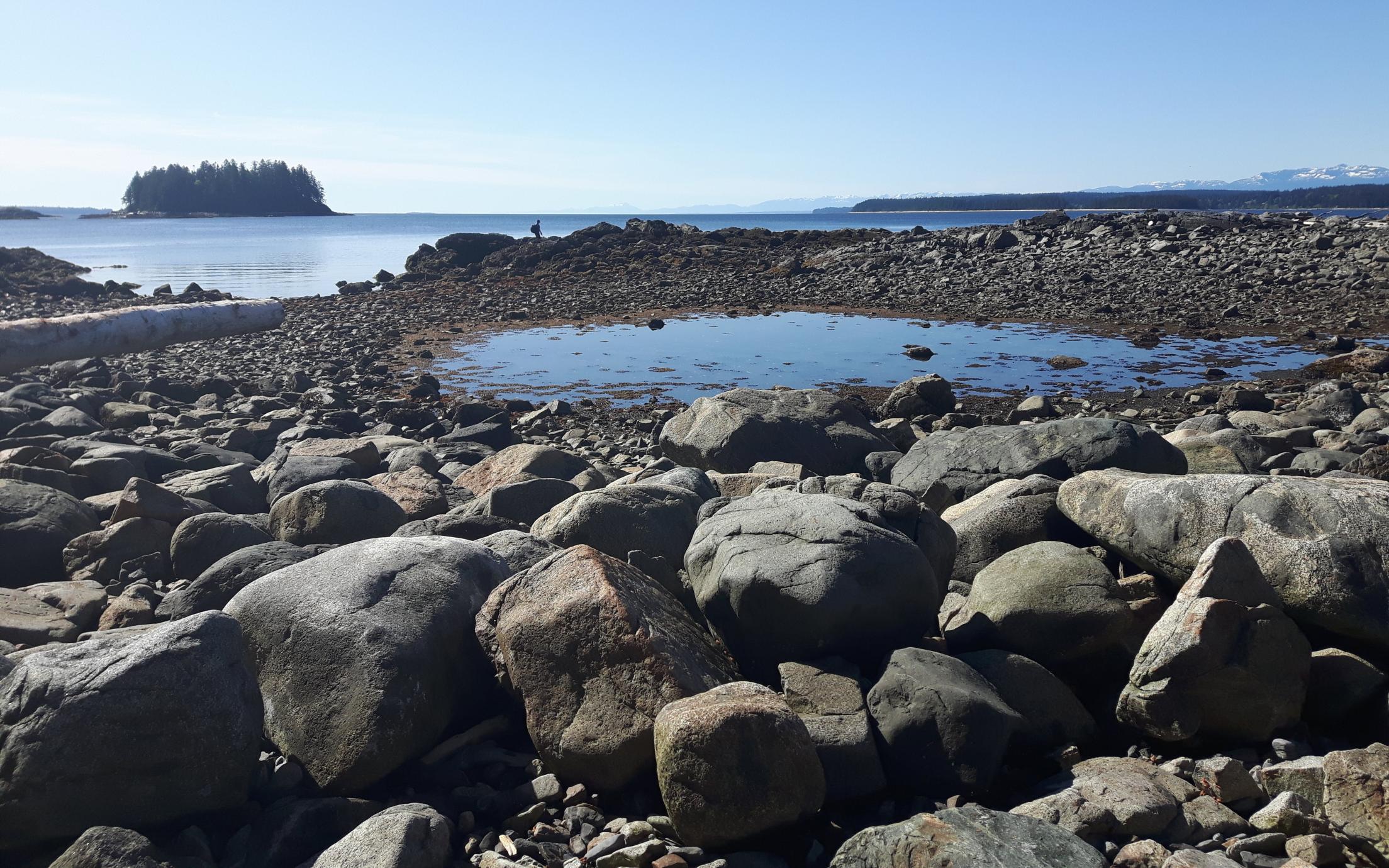 Scenery image on Quadra Island, GEOL206 Field school location