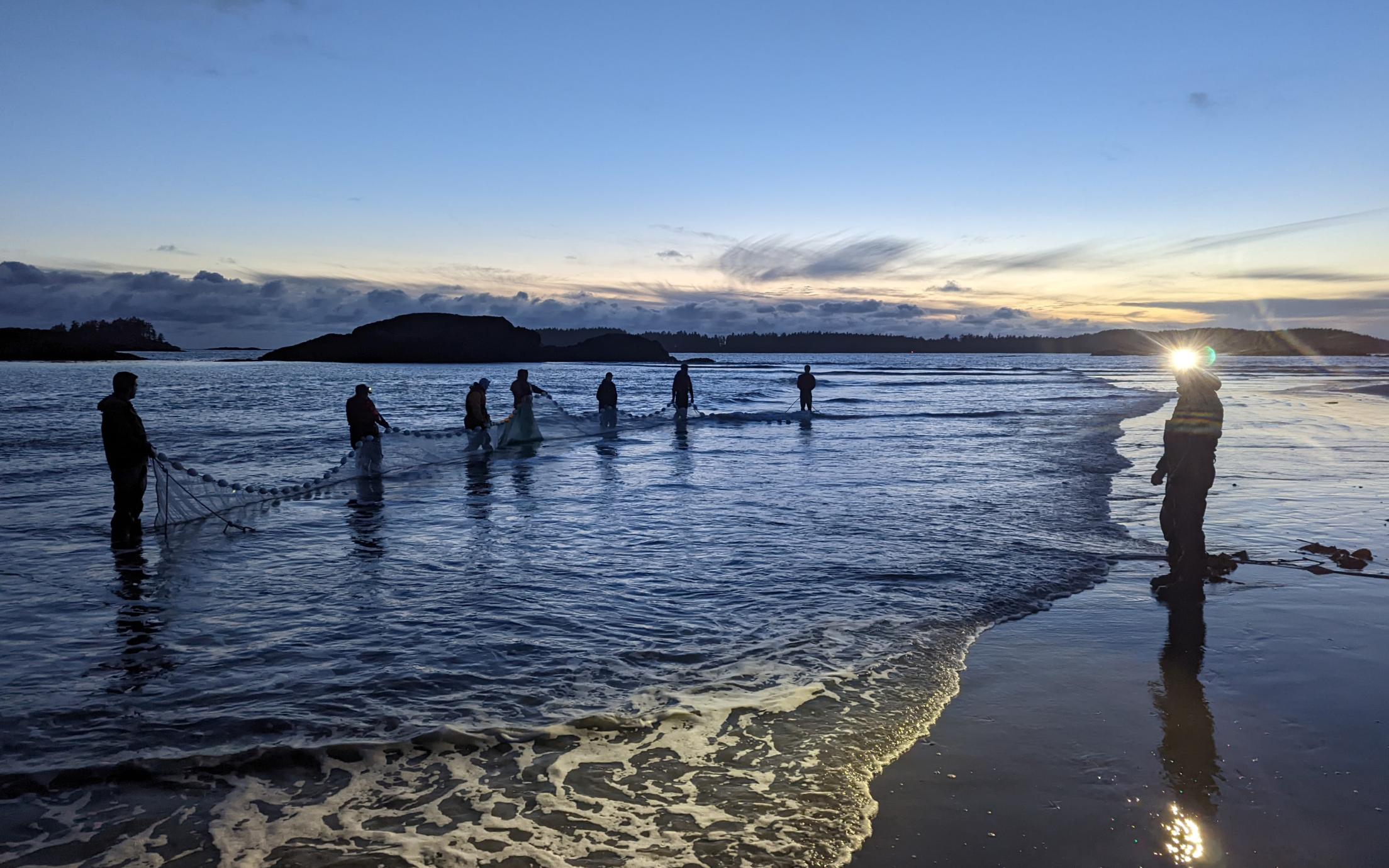 Beach seine