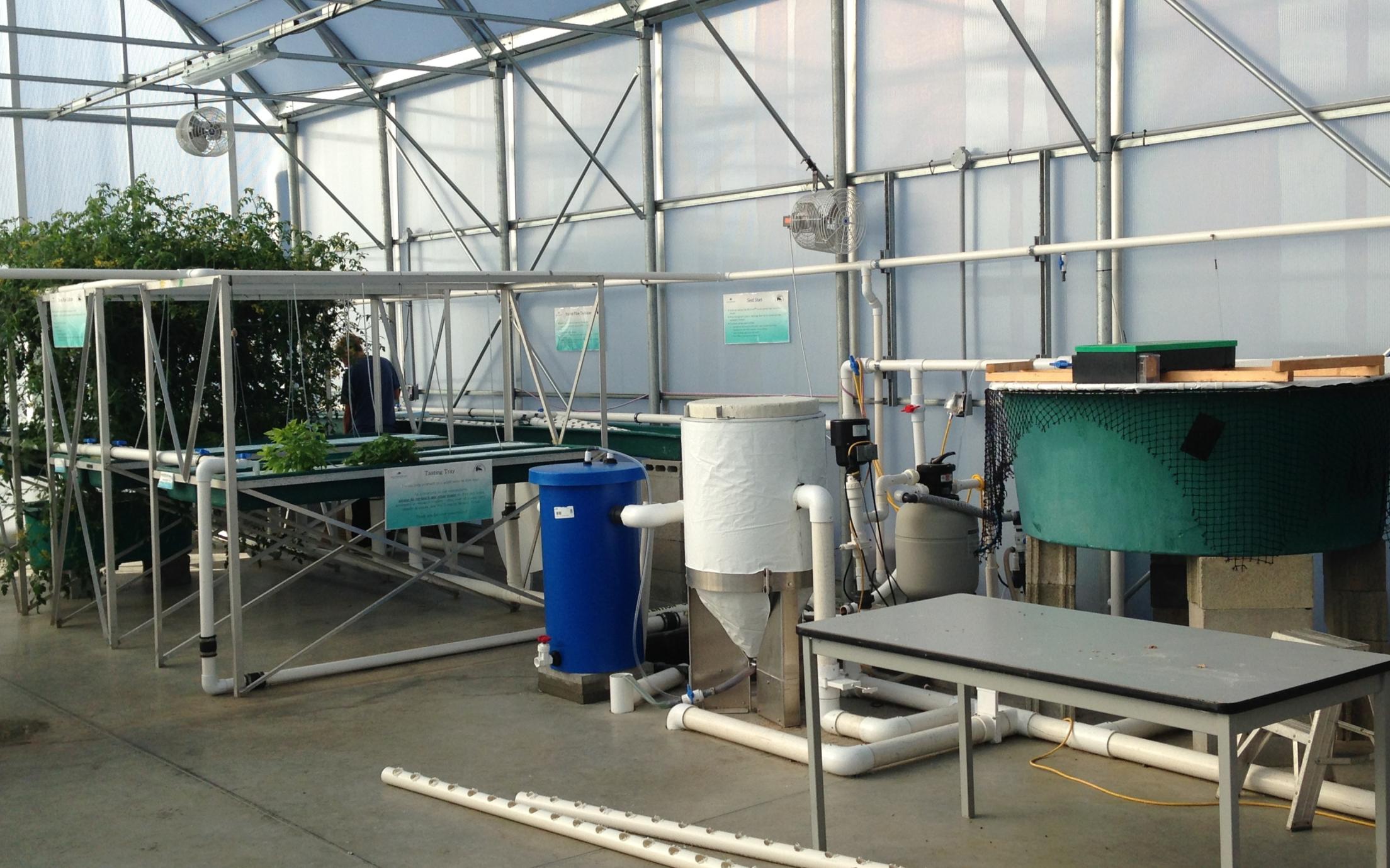 System of Aquaponics