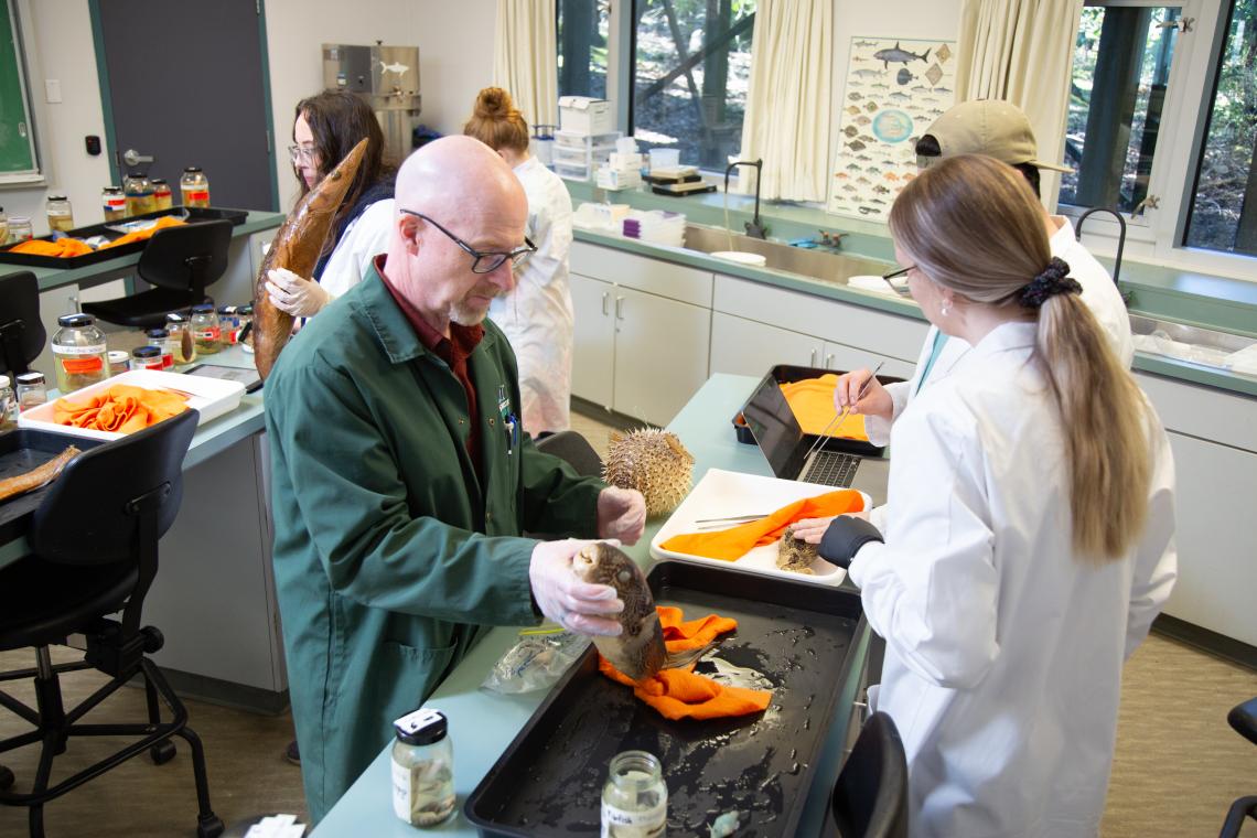 VIU Professor and students in the fish lab