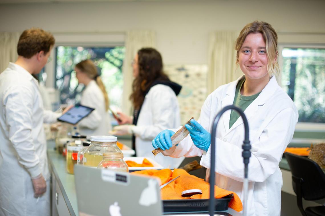 VIU student working in the fish lab