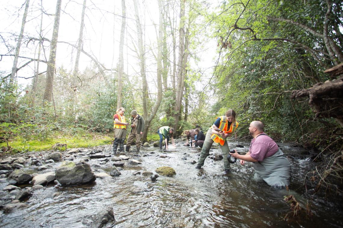 VIU students in the field at Chase River