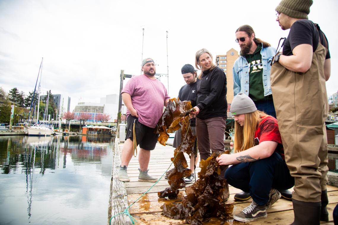 Professor and students looking at kelp at the docks and pilings