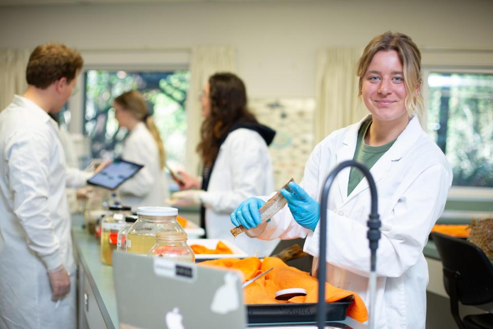 VIU student working in the fish lab