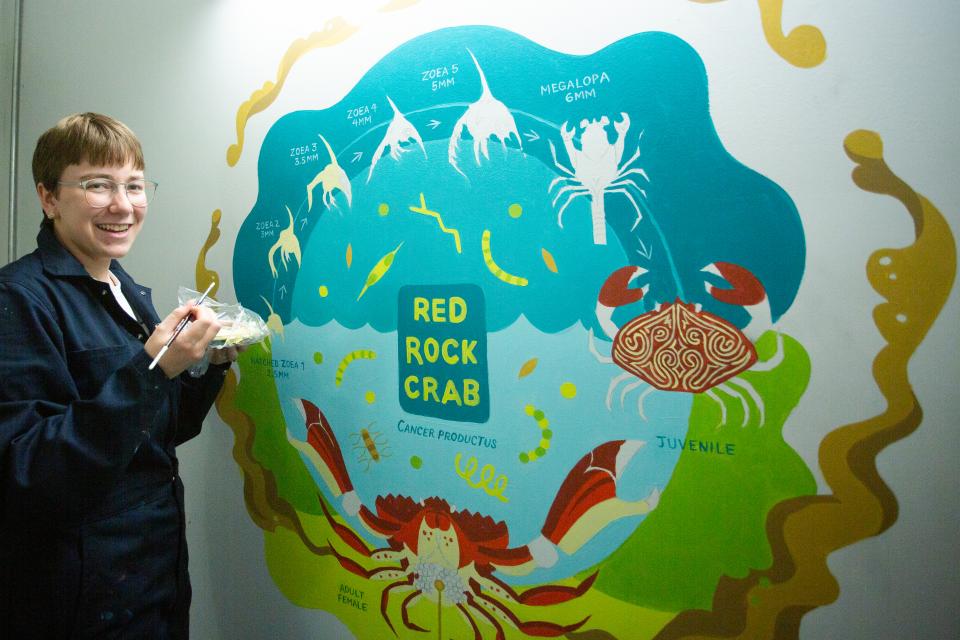 VIU student painting a mural