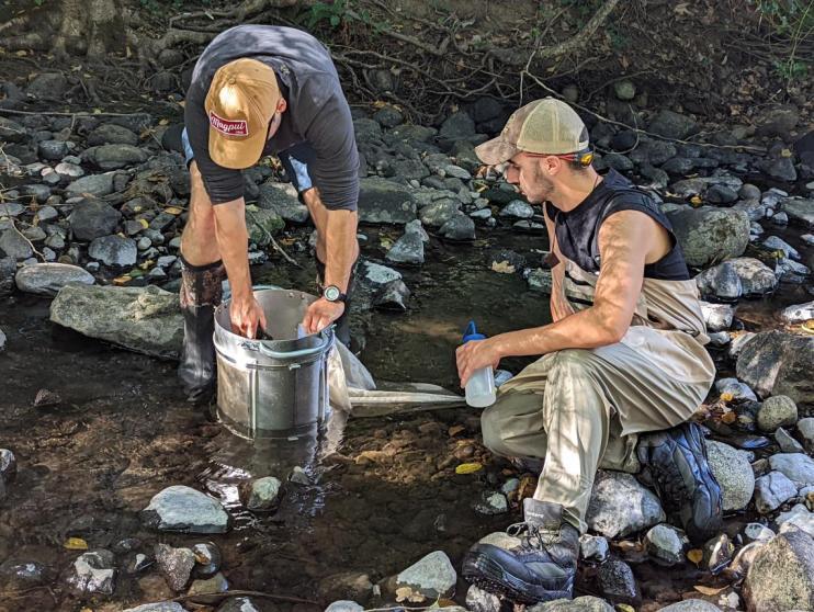 Students working in stream