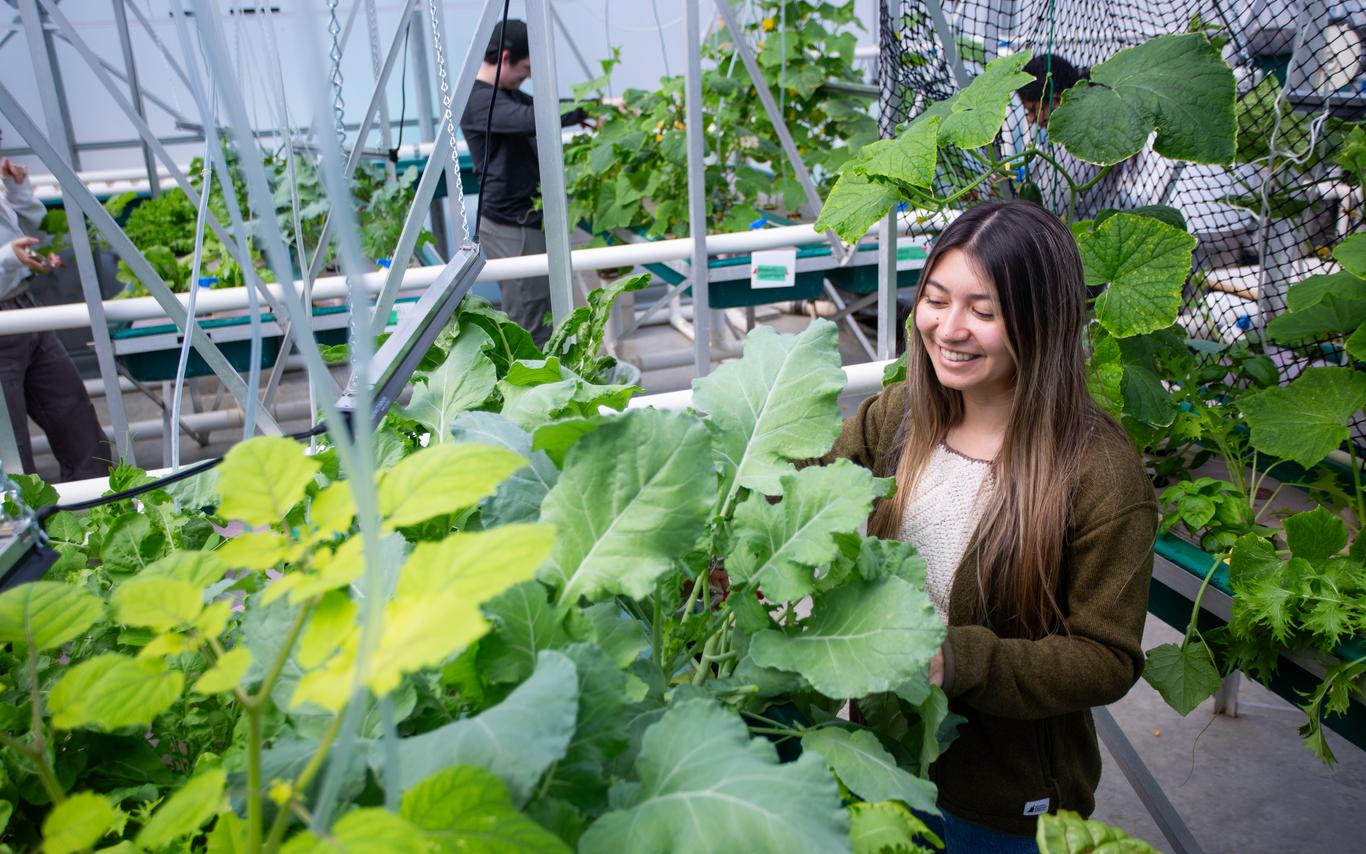 Fish and Aqua student working in greenhouse