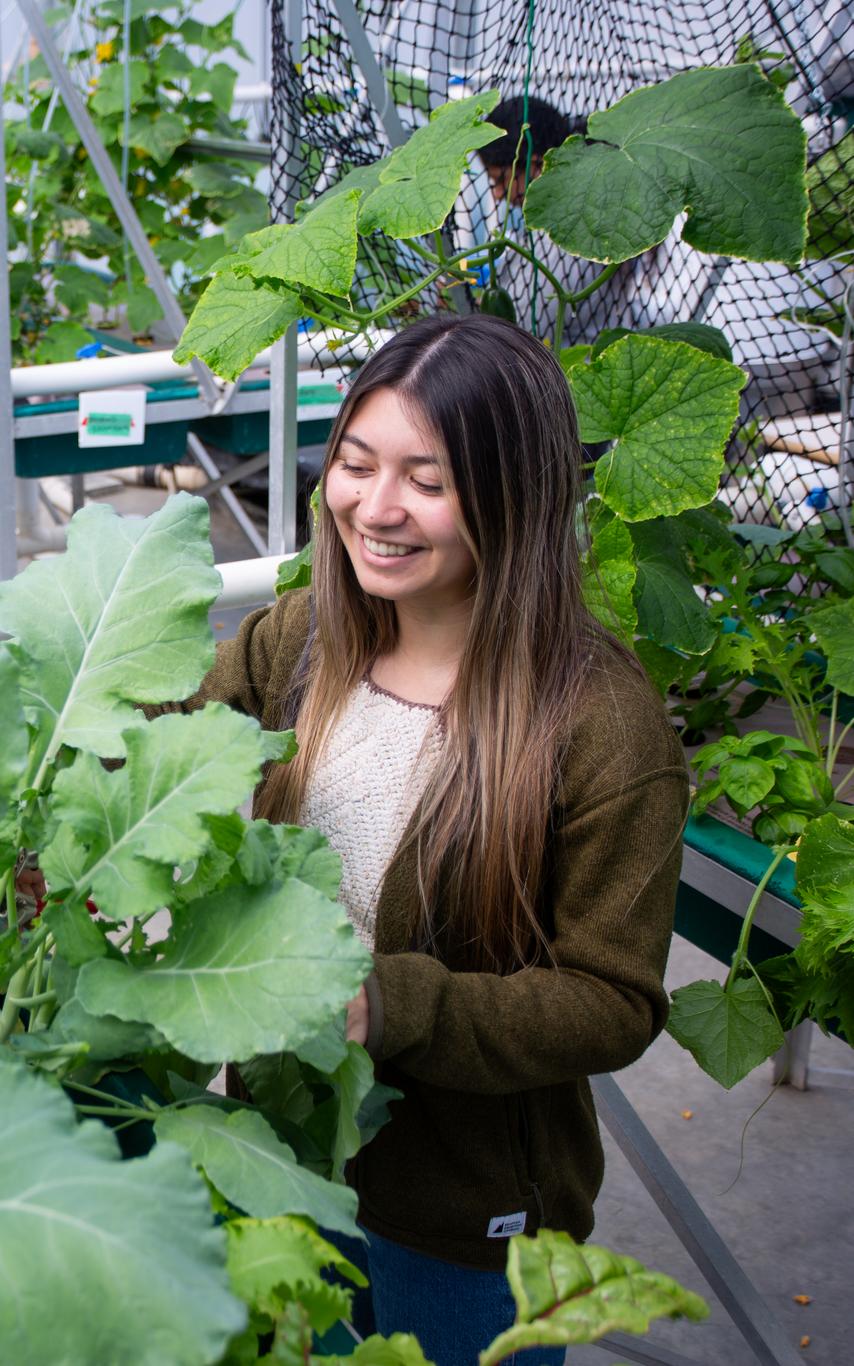 Fish and Aqua student working in greenhouse